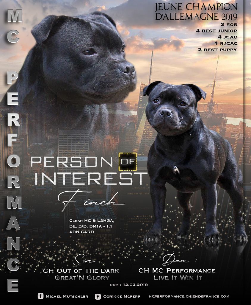 CH. Mc performance Person of interest dit finch